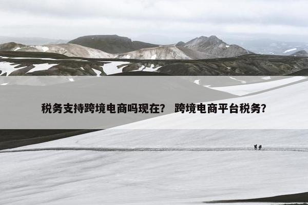 税务支持跨境电商吗现在？ 跨境电商平台税务？