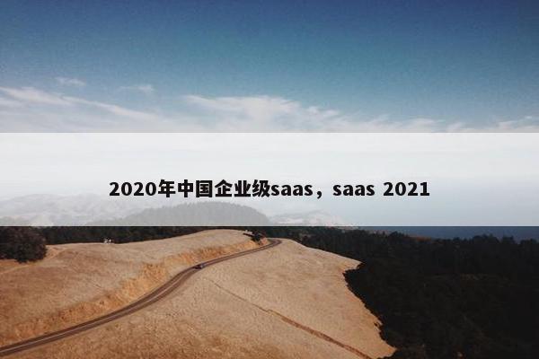 2020年中国企业级saas，saas 2021