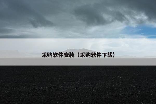 采购软件安装（采购软件下载）