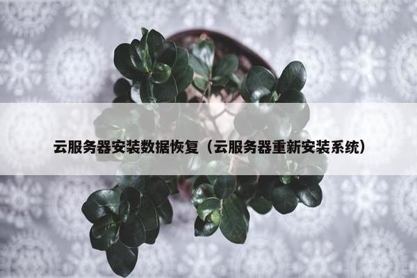 云服务器安装数据恢复（云服务器重新安装系统）