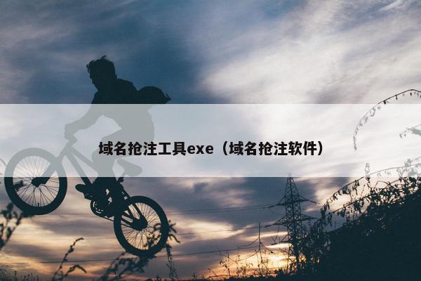 域名抢注工具exe（域名抢注软件）