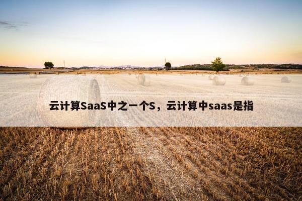 云计算SaaS中之一个S，云计算中saas是指