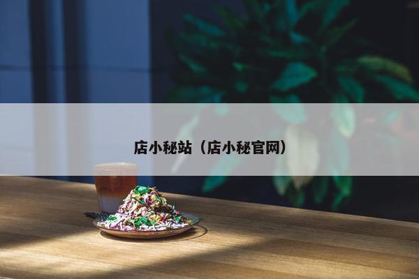 店小秘站（店小秘官网）