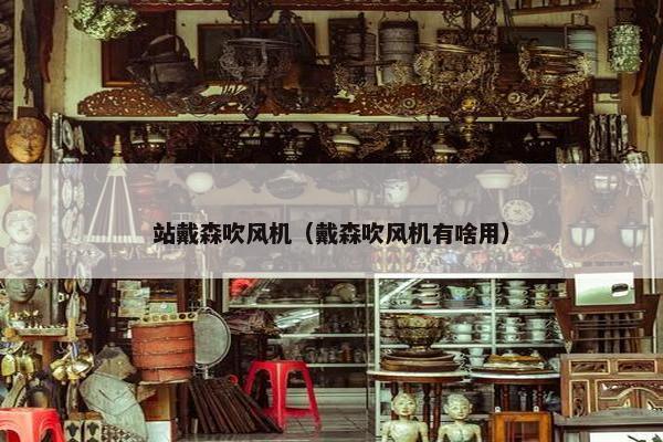 站戴森吹风机（戴森吹风机有啥用）