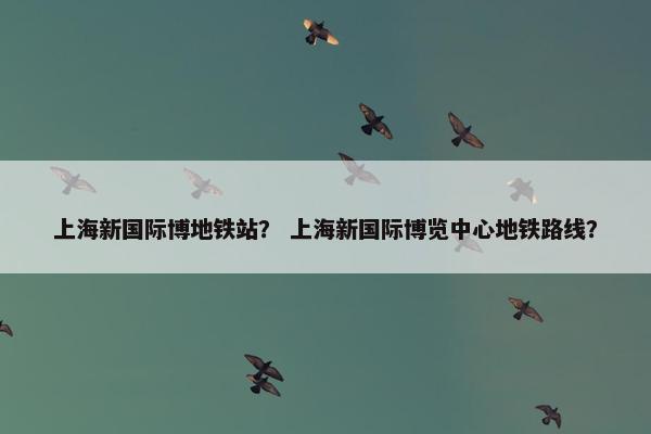 上海新国际博地铁站？ 上海新国际博览中心地铁路线？