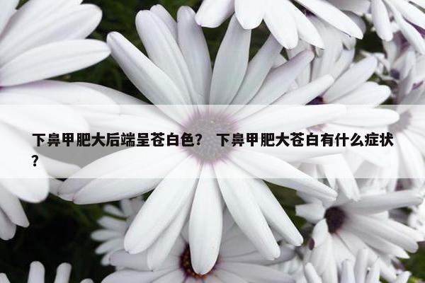 下鼻甲肥大后端呈苍白色？ 下鼻甲肥大苍白有什么症状？