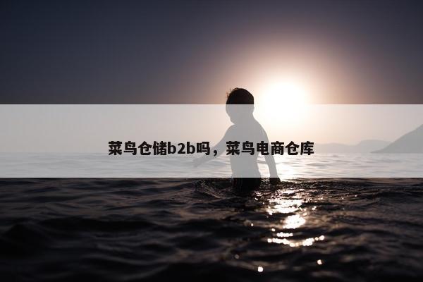 菜鸟仓储b2b吗，菜鸟电商仓库