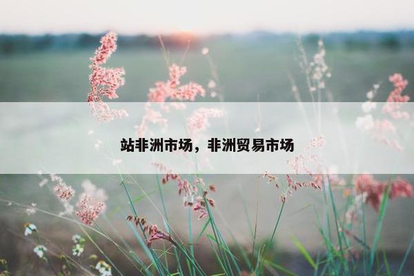 站非洲市场，非洲贸易市场