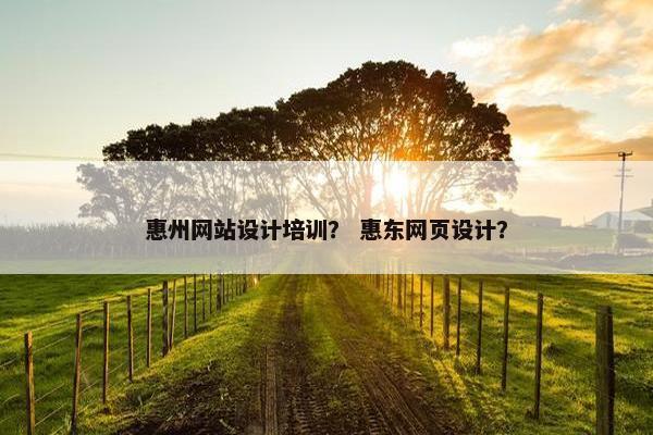 惠州网站设计培训？ 惠东网页设计？