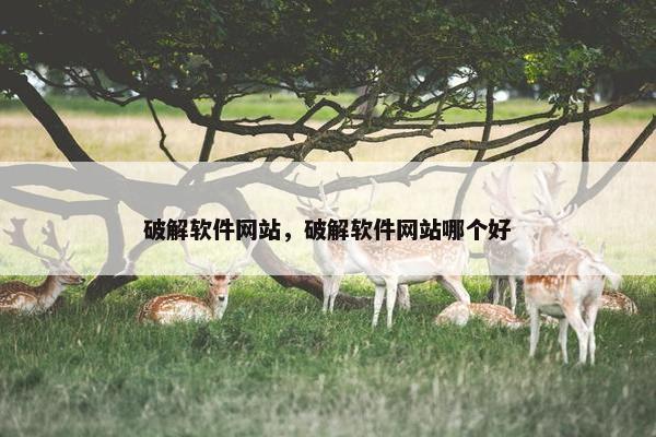 破解软件网站，破解软件网站哪个好