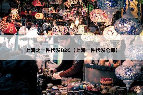 上海之一件代发B2C（上海一件代发仓库）
