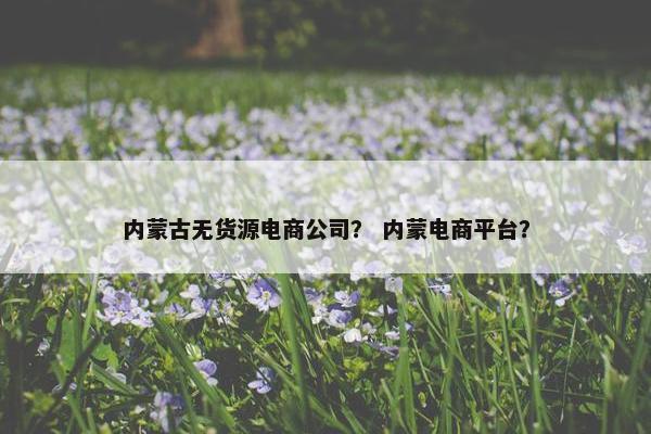 内蒙古无货源电商公司？ 内蒙电商平台？