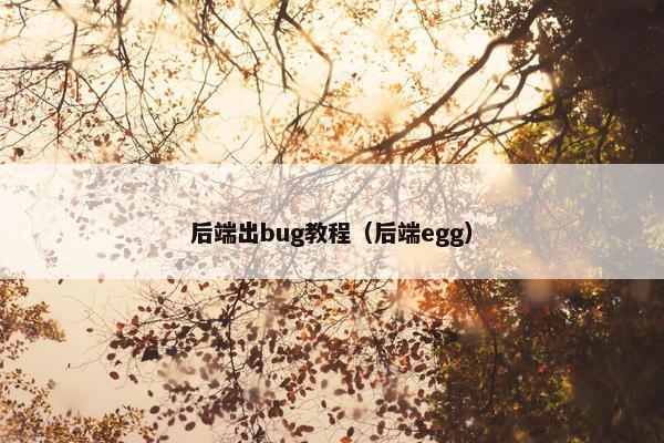 后端出bug教程（后端egg）