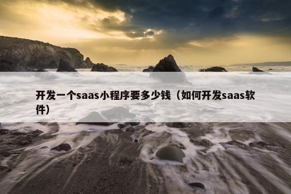 开发一个saas小程序要多少钱（如何开发saas软件）