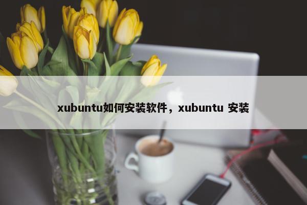 xubuntu如何安装软件，xubuntu 安装