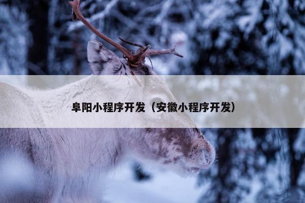 阜阳小程序开发（安徽小程序开发）