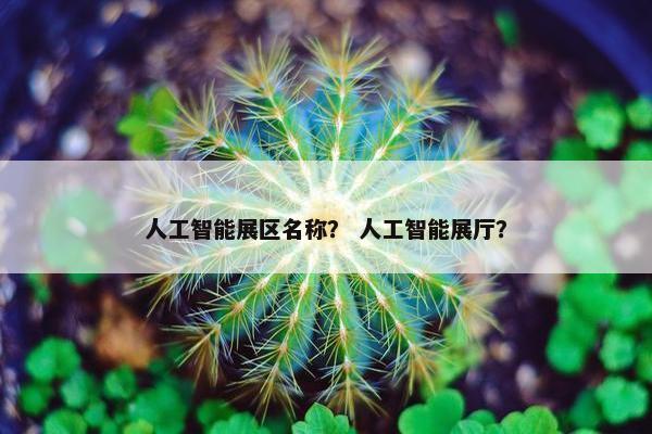 人工智能展区名称？ 人工智能展厅？