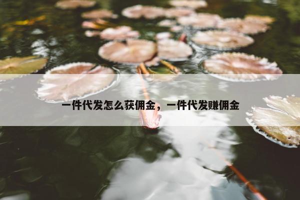 一件代发怎么获佣金，一件代发赚佣金