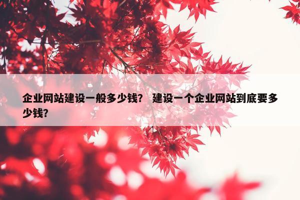 企业网站建设一般多少钱？ 建设一个企业网站到底要多少钱？