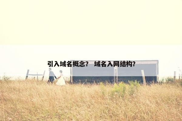 引入域名概念？ 域名入网结构？