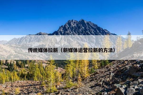 传统媒体拉新（新媒体运营拉新的方法）