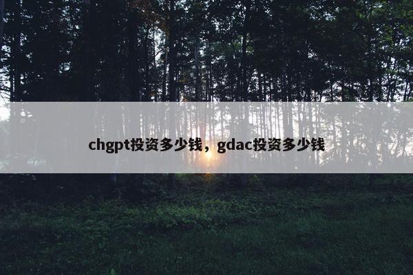 chgpt投资多少钱，gdac投资多少钱