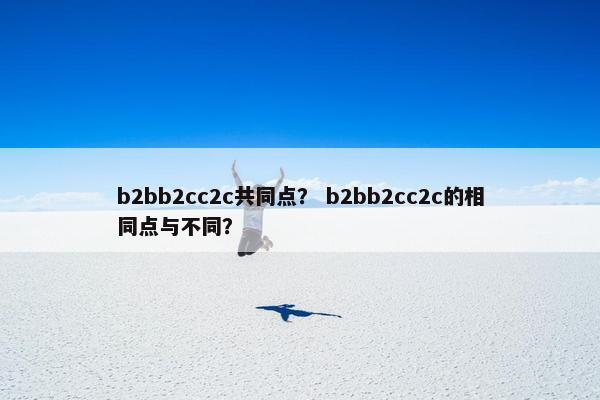 b2bb2cc2c共同点？ b2bb2cc2c的相同点与不同？