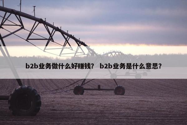 b2b业务做什么好赚钱？ b2b业务是什么意思？