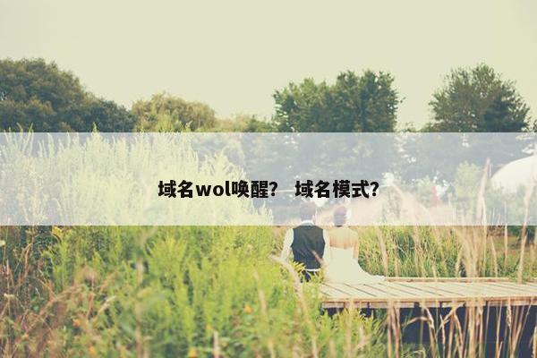 域名wol唤醒？ 域名模式？
