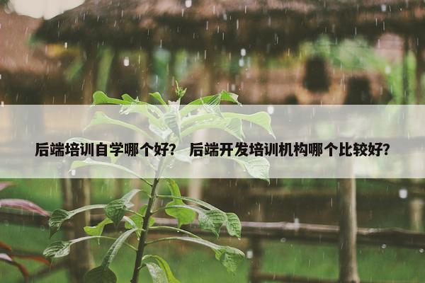 后端培训自学哪个好？ 后端开发培训机构哪个比较好？