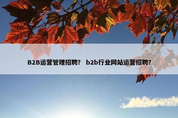 B2B运营管理招聘？ b2b行业网站运营招聘？