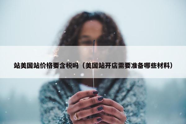 站美国站价格要含税吗（美国站开店需要准备哪些材料）