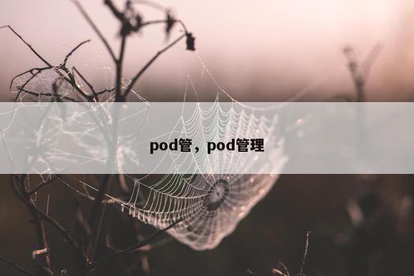 pod管，pod管理