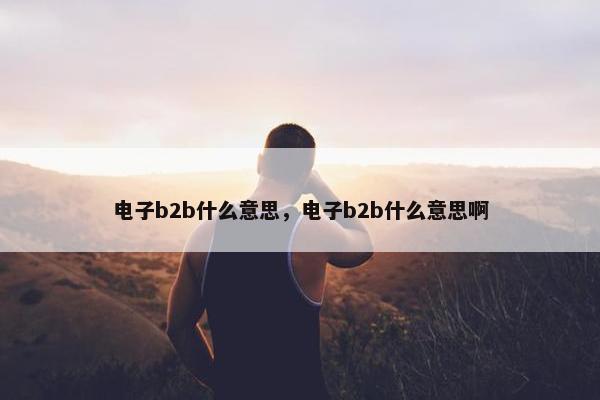 电子b2b什么意思，电子b2b什么意思啊