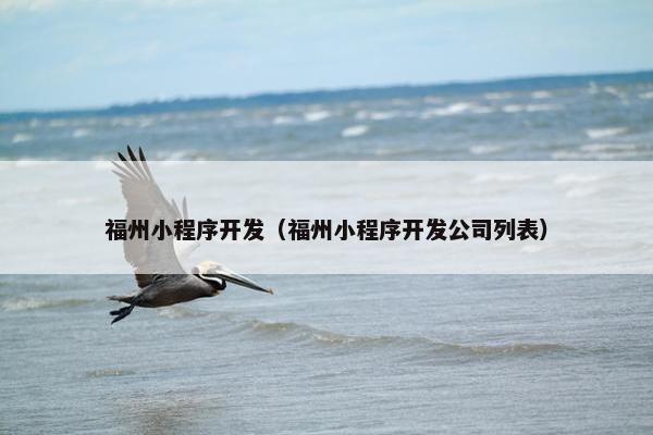 福州小程序开发（福州小程序开发公司列表）
