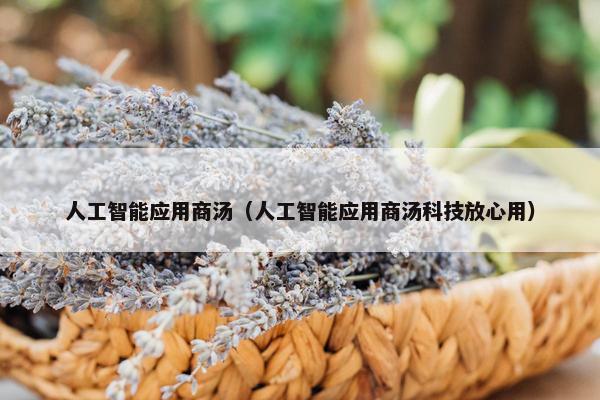 人工智能应用商汤（人工智能应用商汤科技放心用）