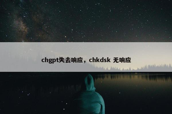 chgpt失去响应，chkdsk 无响应
