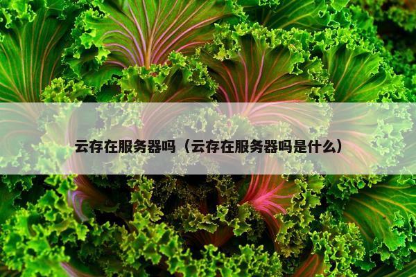 云存在服务器吗（云存在服务器吗是什么）