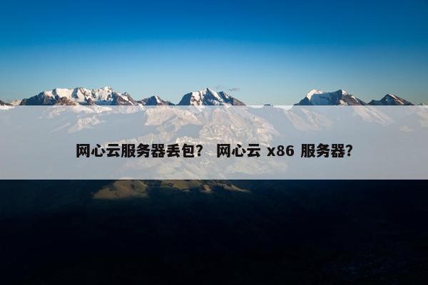 网心云服务器丢包？ 网心云 x86 服务器？