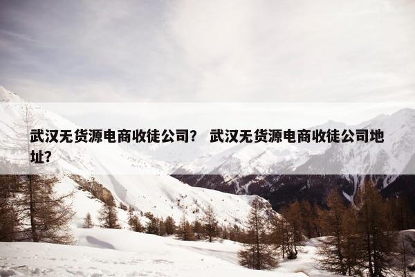 武汉无货源电商收徒公司？ 武汉无货源电商收徒公司地址？