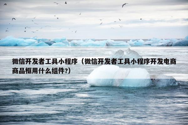 微信开发者工具小程序（微信开发者工具小程序开发电商商品框用什么组件?）