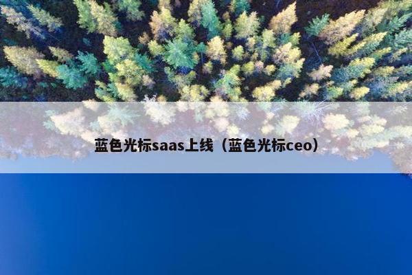 蓝色光标saas上线（蓝色光标ceo）