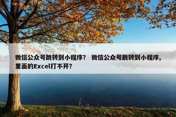 微信公众号跳转到小程序？ 微信公众号跳转到小程序,里面的Excel打不开？