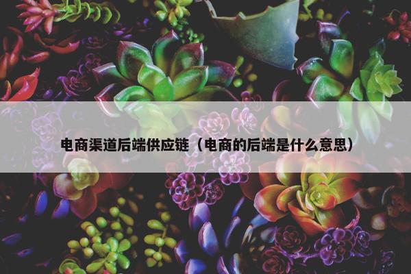 电商渠道后端供应链（电商的后端是什么意思）