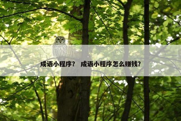 成语小程序？ 成语小程序怎么赚钱？