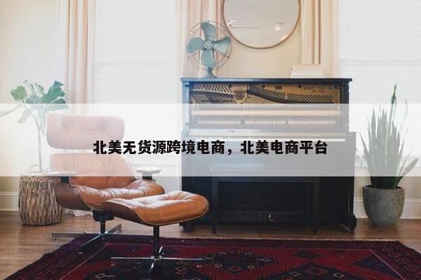 北美无货源跨境电商，北美电商平台