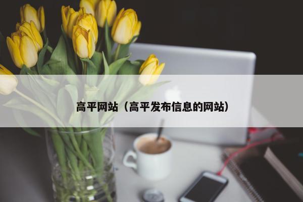 高平网站（高平发布信息的网站）