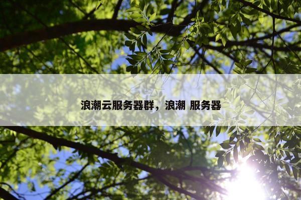 浪潮云服务器群，浪潮 服务器