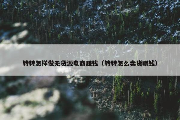 转转怎样做无货源电商赚钱（转转怎么卖货赚钱）