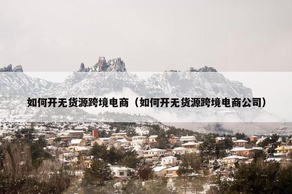 如何开无货源跨境电商（如何开无货源跨境电商公司）